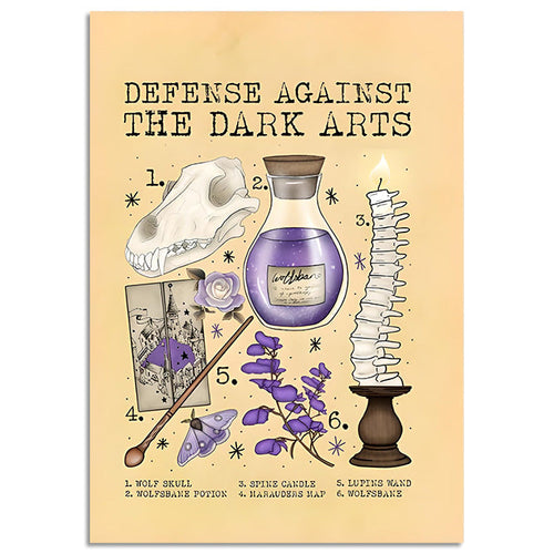 Boogzel Apparel Defence Against the Dark Arts Poster