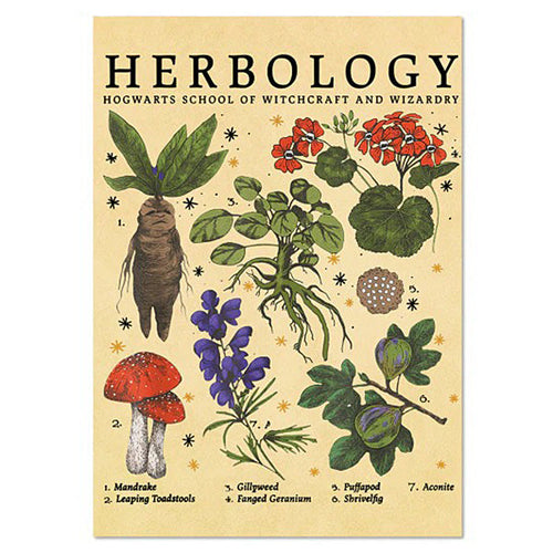 Boogzel Apparel Herbology Vintage Poster