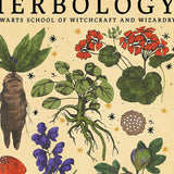 Boogzel Apparel Herbology Vintage Poster, view 2