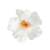 Boogzel Apparel Hibiscus Tropical Hair Flower Clip, view 3