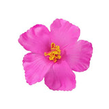 Boogzel Apparel Hibiscus Tropical Hair Flower Clip, view 6