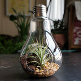 Boogzel Apparel Light Bulb Hanging Vase, view 3