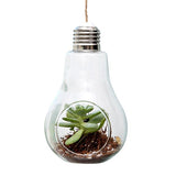 Boogzel Apparel Light Bulb Hanging Vase, view 4
