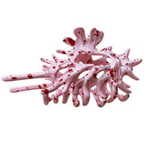 Boogzel Apparel Mermaid Shell Hair Claw, view 2