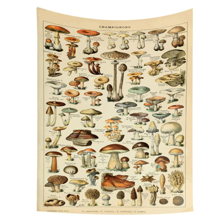 Boogzel Apparel Vintage Aesthetic Mushrooms Wall Tapestry
