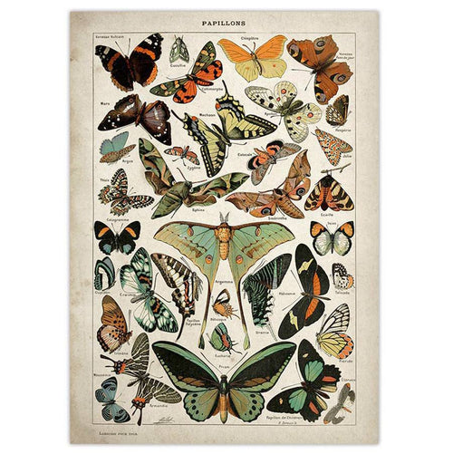 Boogzel Apparel Butterfly Vintage Poster