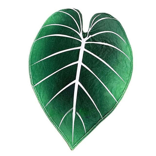 Boogzel Apparel Plant Mom Aesthetic Leaf Blanket