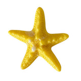 Boogzel Apparel Starfish Mini Hair Clip, view 2