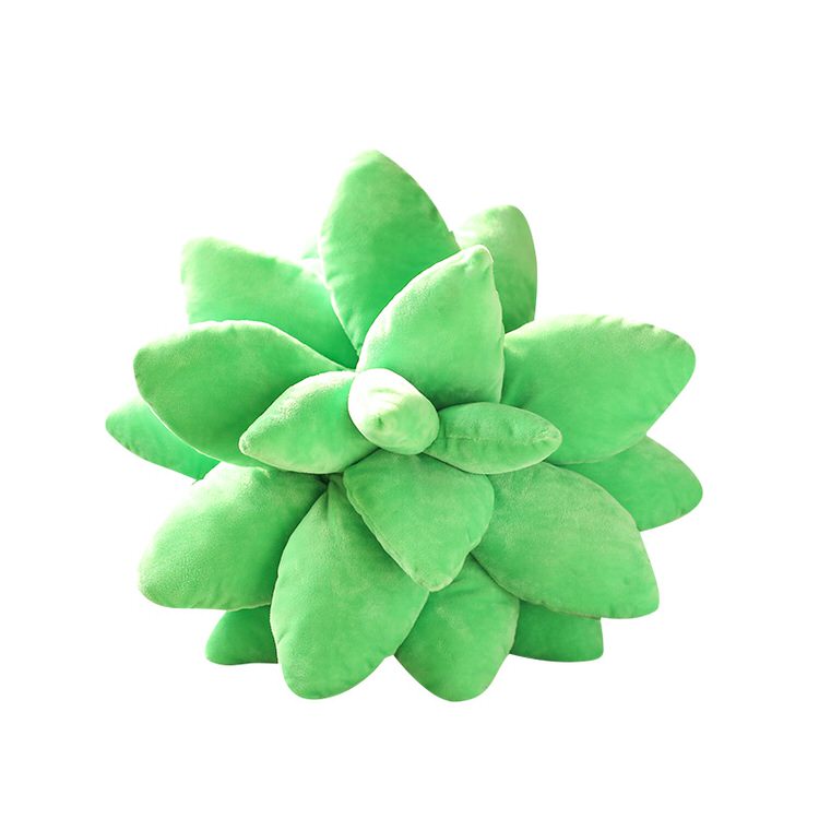 Boogzel Apparel Plant Mom Aesthetic Succulent Pillow