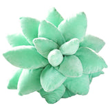 Boogzel Apparel Plant Mom Aesthetic Succulent Pillow, view 2