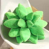 Boogzel Apparel Plant Mom Aesthetic Succulent Pillow, view 4