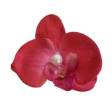 Boogzel Apparel Tropical Orchid Hair Clip, view 3
