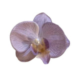 Boogzel Apparel Tropical Orchid Hair Clip, view 6