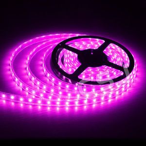 Buddy RC 1 Meter Standard Pink LED Light Strip