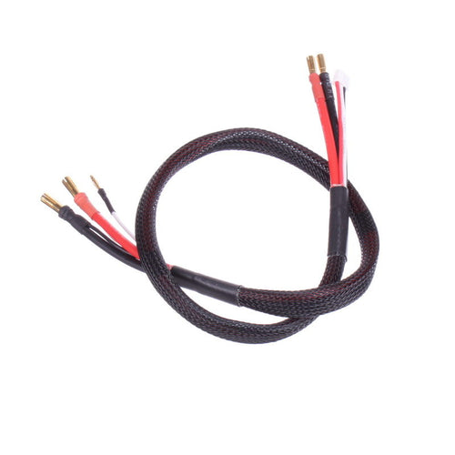 Buddy RC 4mm RC Car Battery Charge Cable for Batteries with 4mm Holes