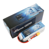 Buddy RC Gens ace 2600mAh 6S 22.2V 45C Lipo Battery Pack with XT60 Plug, view 4