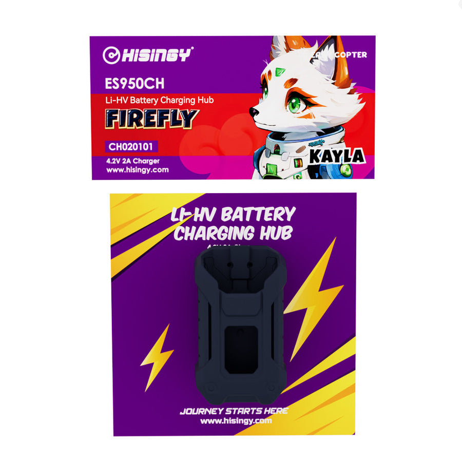 Buddy RC HISINGY FIREFLY Charger