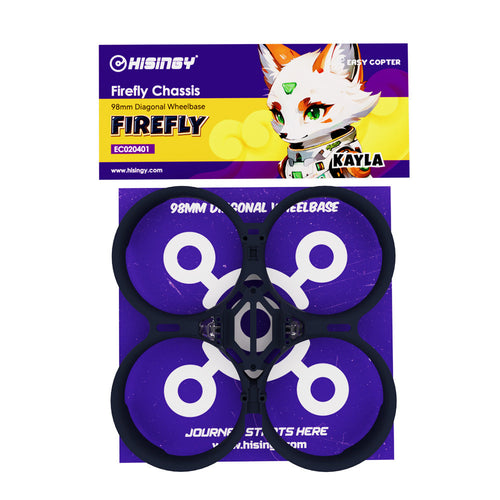 Buddy RC HISINGY FIREFLY Chassis Black