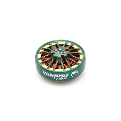 Buddy RC DIATONE MAMBA TOKA 2004 1700KV or 2900KV Racing Motor Green