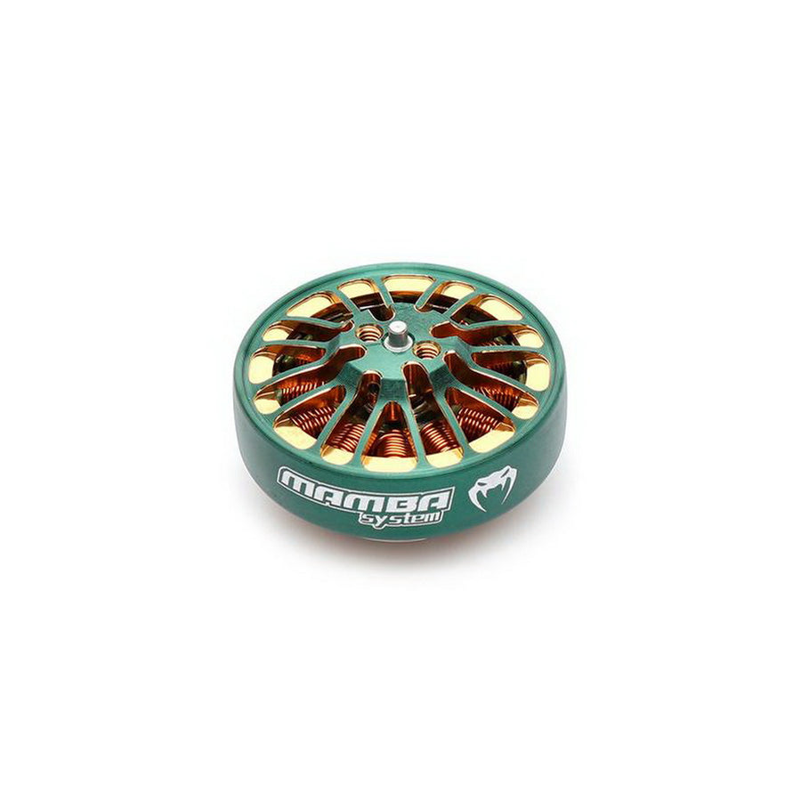 Buddy RC DIATONE MAMBA TOKA 2004 1700KV or 2900KV Racing Motor Green