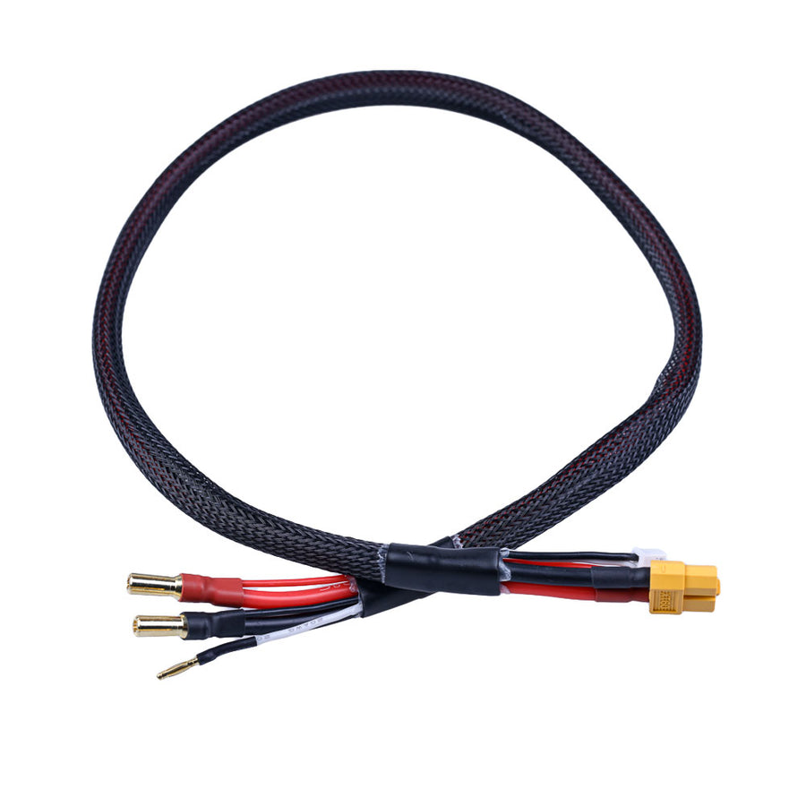 Buddy RC RC Car 2S Battery Charge Cable 5mm Bullet Connector 12 inch with XT60