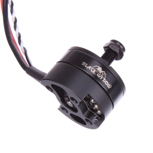 Buddy RC ZTW Black Widow Brushless Motor with Integrated ESC 2204 2300KV V2