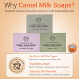 Camel Culture Camel Milk Soaps, view 2
