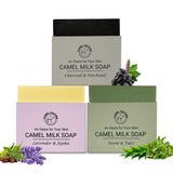 Camel Culture The First Taste Bundle, view 2
