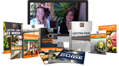 Captain Soup Lectin Free Transformational Master Class - Now only $695