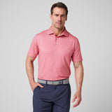 Castlebeard Athletic Tech Printed Polo, view 3
