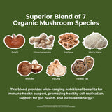 Castlebeard Nature's Lab Gold Mushroom 7 - 90 Capsules, view 4
