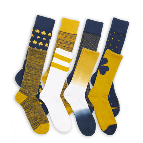 Castlebeard Navy Gold Mixed Socks 8 Pack