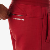 Castlebeard Performance Sweatpant, view 2