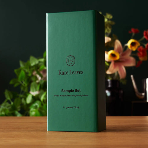 Castlebeard Rare Leaves Single Origin Tea Mini Tin Sampler