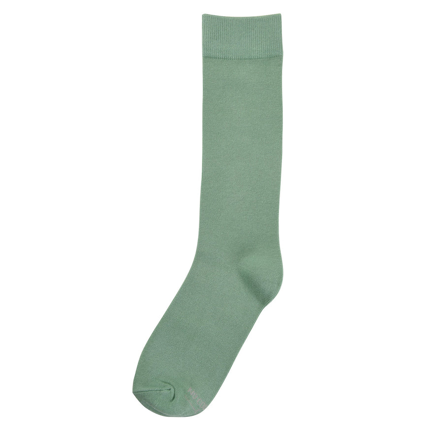Castlebeard Solid Sage Socks