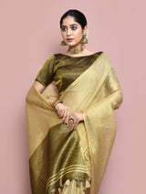 Dista Elora Chikoo Tissue Linen Plain Chanderi Festive and Formal Saree, view 2