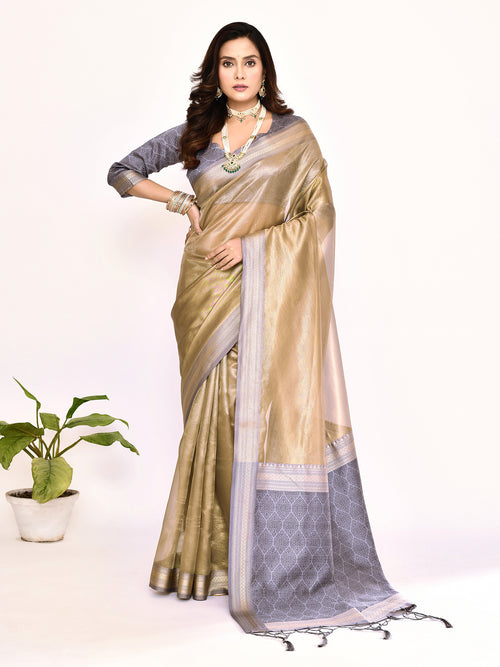 Dista Elora Grey Plain Banarasi Tissue Silk Weaving Saree