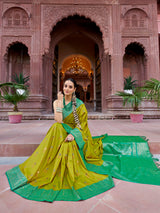 Dista Elora Light Green Soft Silk Patola Zari Jacquard Work Designer Saree, view 5