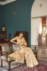 Dista Elora Orange Cotton Silk Ikkat Zari Designer Saree for Women, view 4
