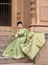 Dista Elora Parrot Green Linen Zig Zag Ikat Wedding wear Designer Saree, view 2