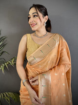 Dista Elora Peach Tissue Parrot & Floral Woven Design Paithani Saree, view 4