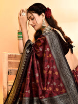 Dista Elora Pure Soft Silk Woven Designed Banarasi Saree- Maroon, view 3