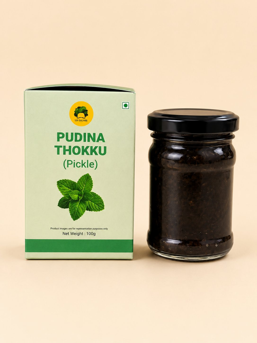 Dista Gulabs Mint Thokku Pickle