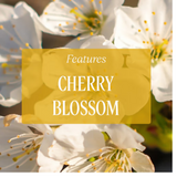 Dista L'Occitane Fleurs De Cerisier Perfumed Hand Soap (Cherry Blossom), view 4
