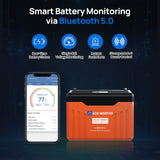 ECO-WORTHY 24V 100Ah Bluetooth Lithium Battery with BMS, view 4