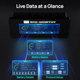 ECO-WORTHY ESM100 Battery Monitor for Cubix Series and Wall-Mount Batteries, view 4