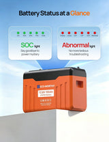 ECO-WORTHY 12V 100Ah LiFePO4 Lithium Battery with SOC Display, view 3