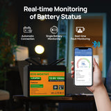 ECO-WORTHY LiFePO4 12V 100Ah Lithium Iron Phosphate Battery With Bluetooth And Low-temperature Protection, view 5
