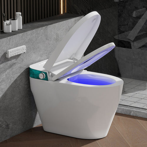 Elecwish Smart Toilet with Bidet Built In, Elongated Heated Seat, Warm Water & Dryer, One Piece Bidet for Bathrooms, Modern Smart Toilet with Auto Flush, Night Light, LED Display, and Remote Control  IS1001