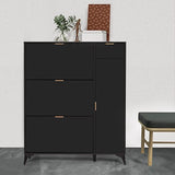 Elecwish Shoe Storage Cabinet Slim with Door IF004, view 6